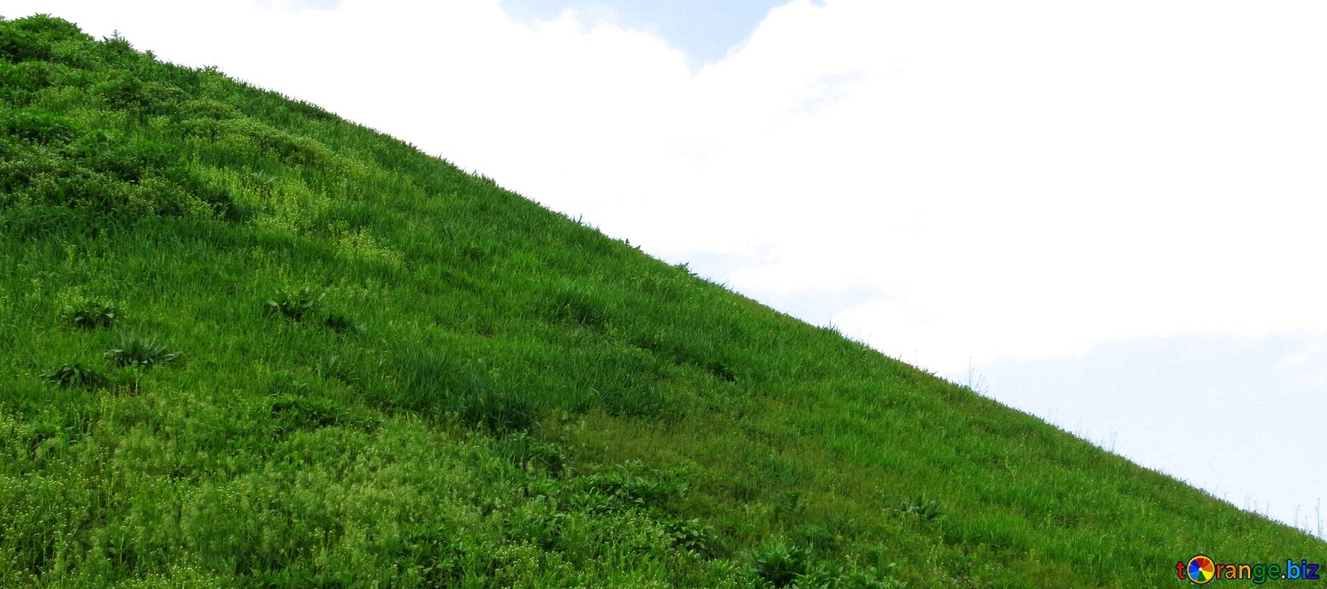 На пригорке видны. Склон Чарду Чувашия. Травянистый склон. Трава на склоне. Травяной холм.
