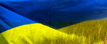 FX №51999 Обложка. Флаг Украины  обои на рабочий стол.