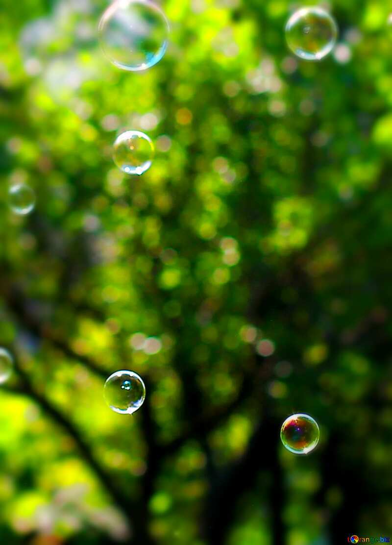 Soap bubbles  blured background №32941