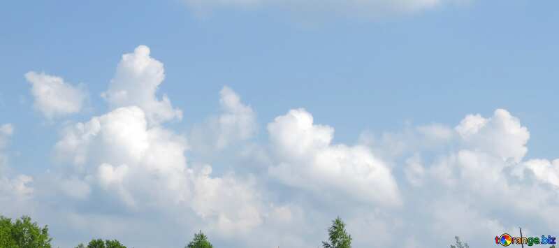 Обложка. Облачное небо над лесом. №31564