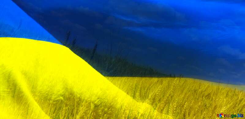 Яркие цвета. Флаг Украины  обои на рабочий стол. №33620