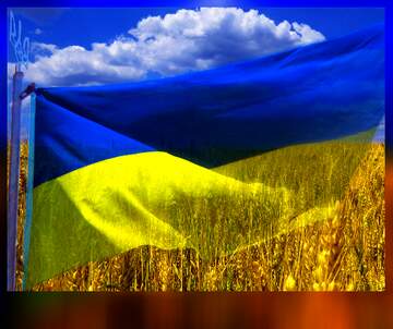 FX №52001 Яркие цвета. Флаг Украины  обои на рабочий стол.