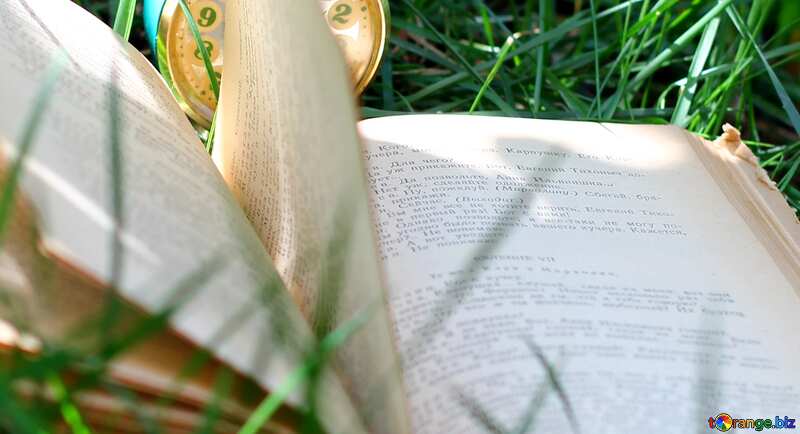 Book in grass №34854