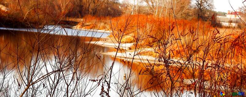 Обложка. Осенний пейзаж у реки. №38615