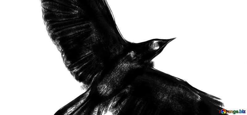 Обложка. Рисунок силуэт ворона клипарт для хэллоуин  . №40590