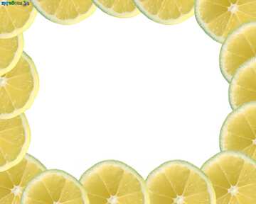 FX №54145 Лимоны по краю рамки
