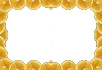 FX №54150 Рамка из лимонов