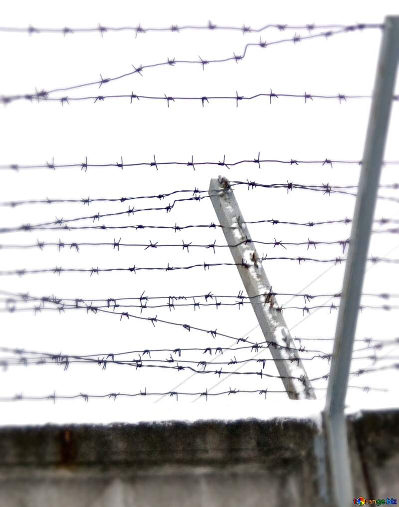 Barbed wire blur frame №4443