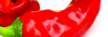 FX №55540 的封面 红辣椒两个豆荚隔绝在白色背景.