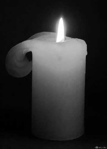 FX №56590  candle black and  white