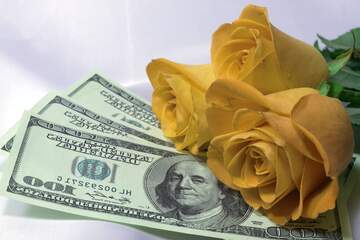FX №56858 Деньги цветы любовь