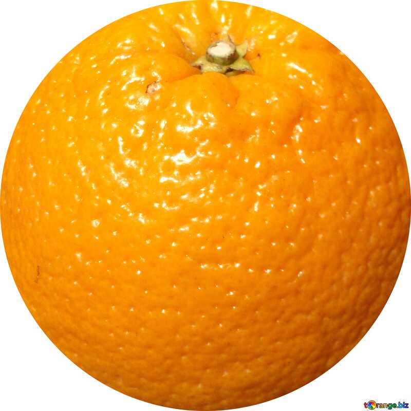 Orange №9211