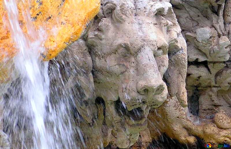 Abdeckung. Skulptur Löwe in den Brunnen. №12522