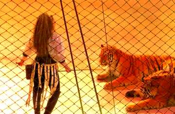 FX №58378 Abdeckung. Tiger tamer.