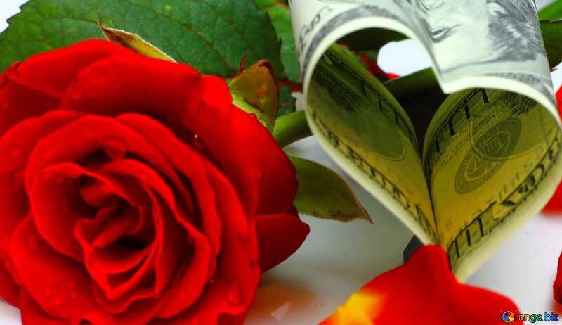 Abdeckung. Herz mit Rose aus Geld. №16839