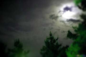 FX №60331 Moon over night  forest