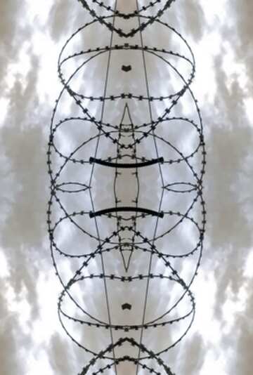 FX №60163 Barbed wire pattern