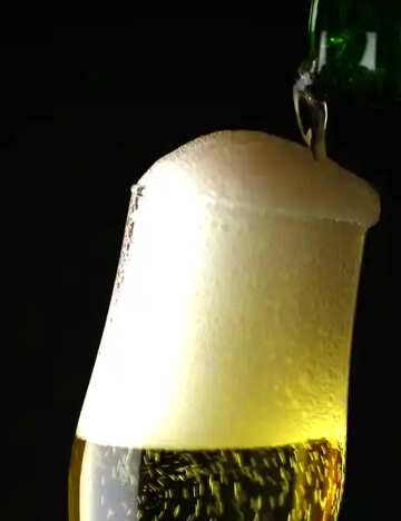 FX №60117 Abdeckung. Vollen Glas Champagner.
