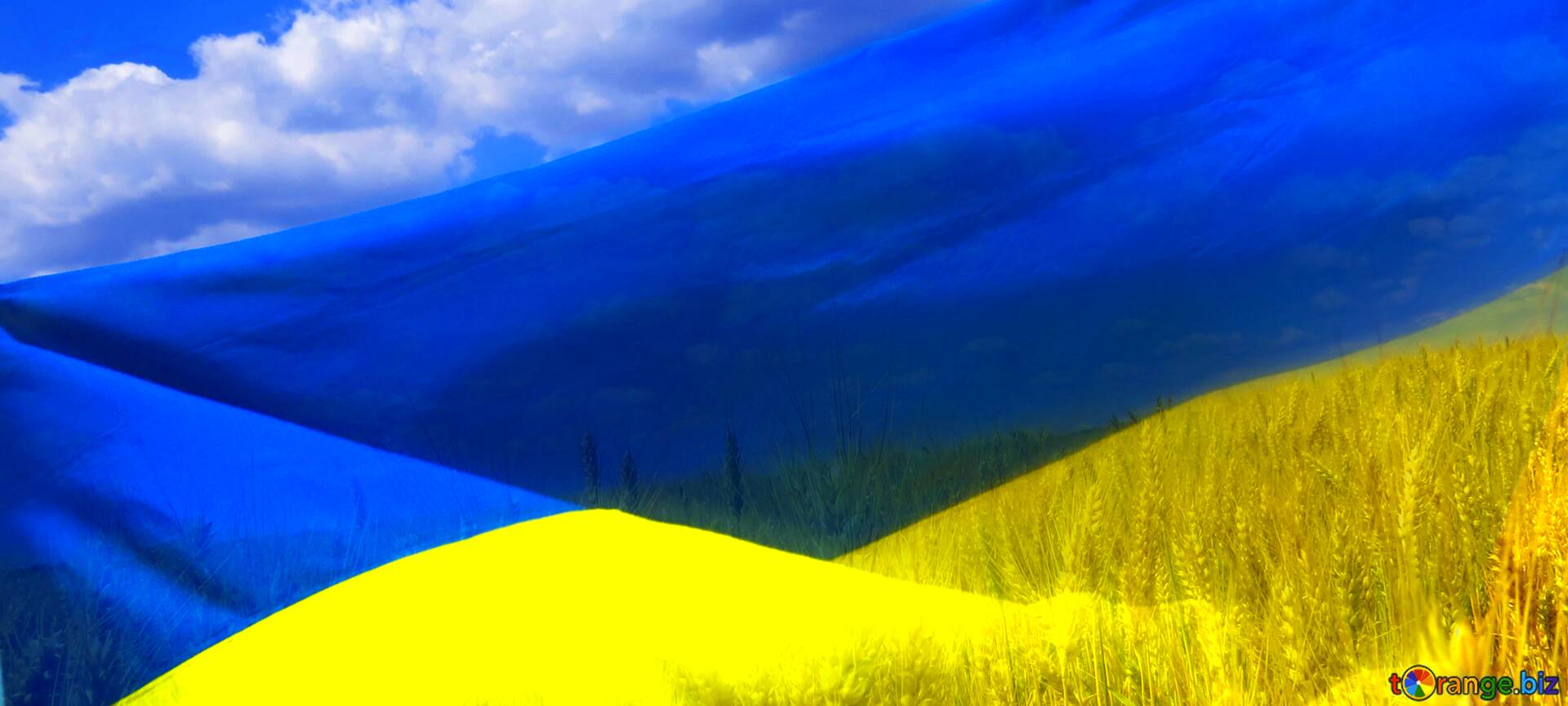 Download Free Picture Abdeckung Die Flagge Der Ukraine On Cc By License Free Image Stock Torange Biz Fx