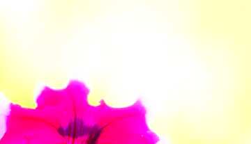 FX №61073 Abdeckung. Schönen Hintergrund mit Blume.