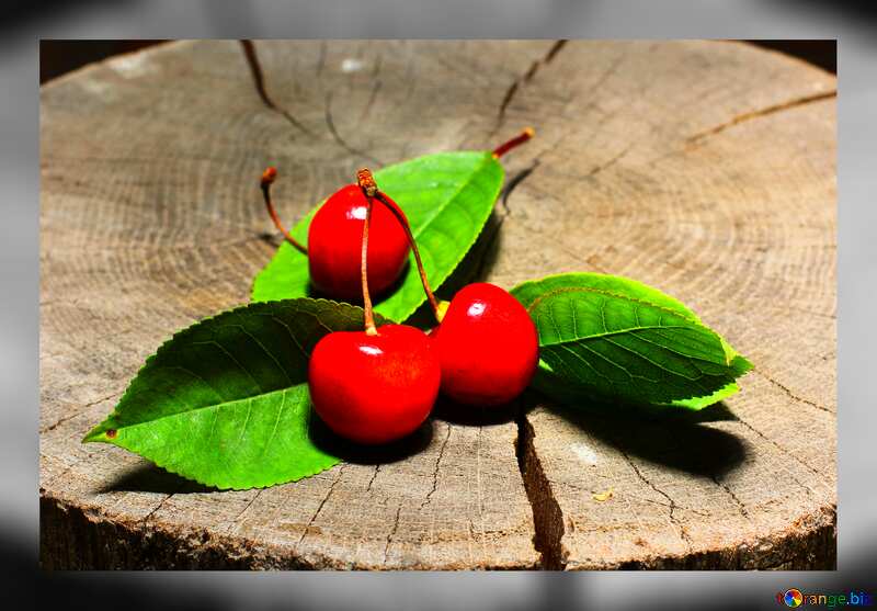  cherry on wood №33202