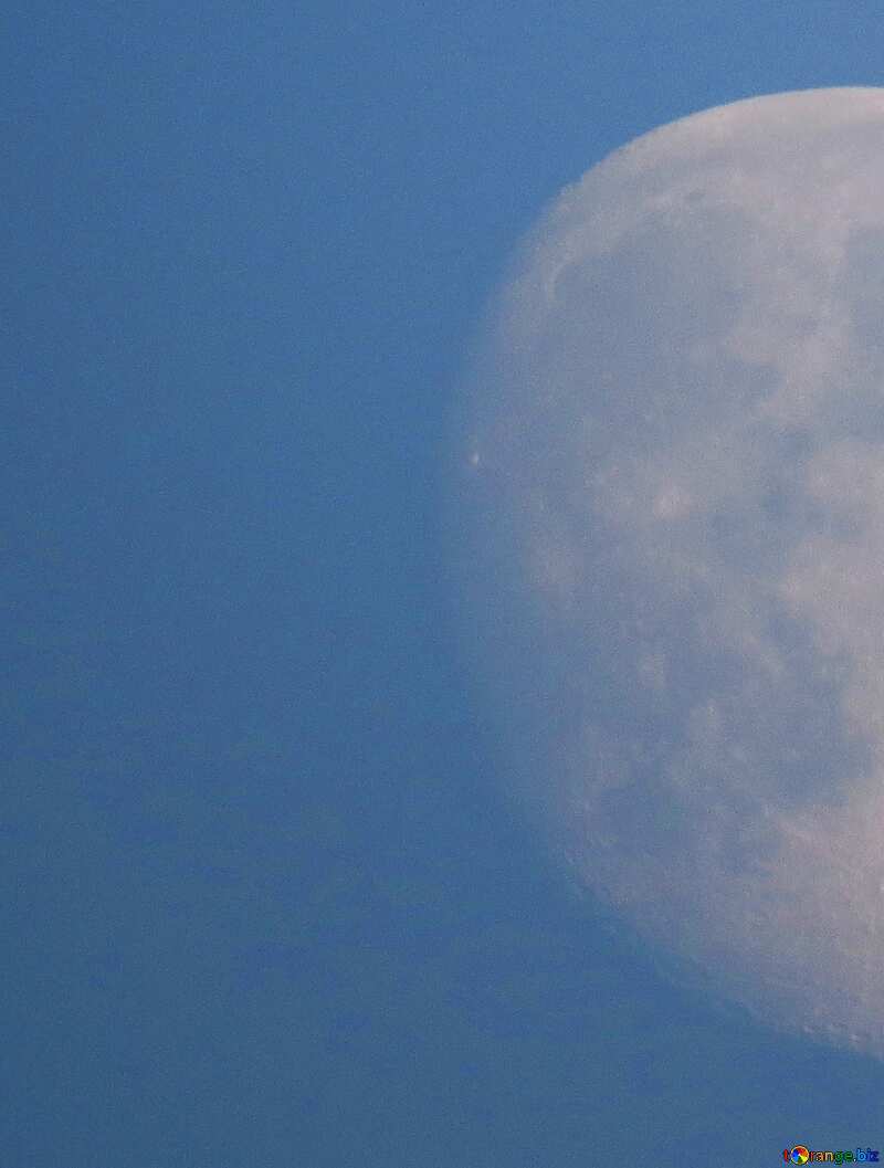 half a moon №36676