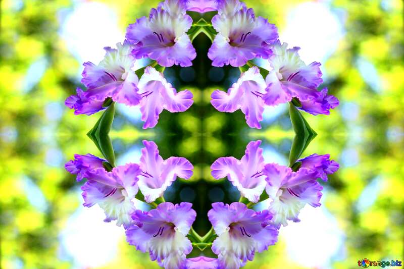 flower images pattern background №33786
