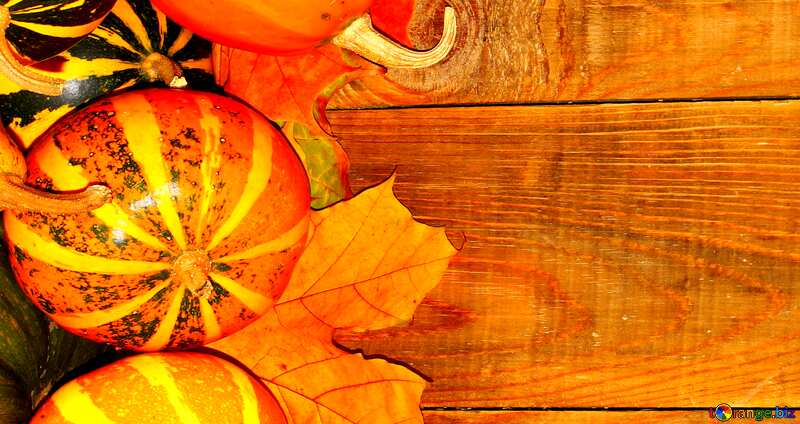Abdeckung. Herbst Hintergrund mit Kürbis-Seite. №35230