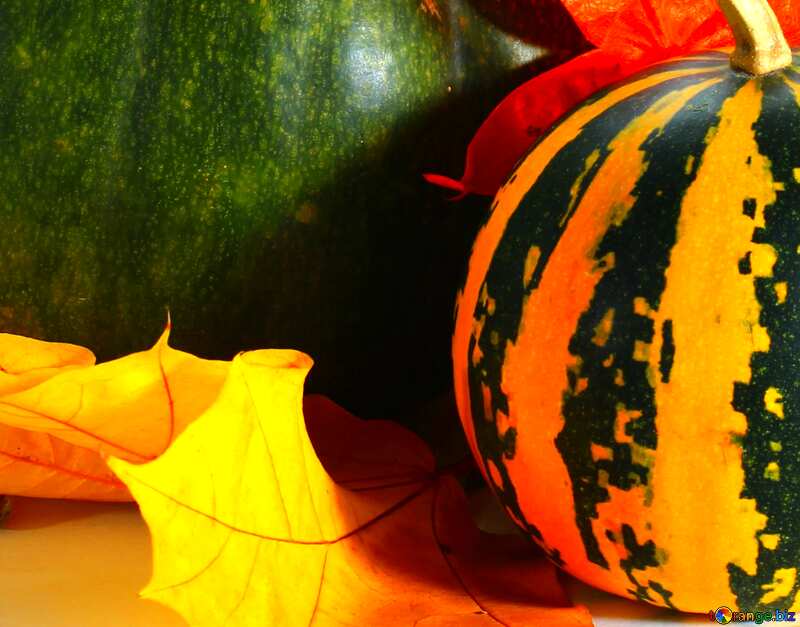 Beautiful autumn pumpkin №35481