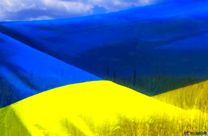 Abdeckung. Die Flagge der Ukraine. №33620