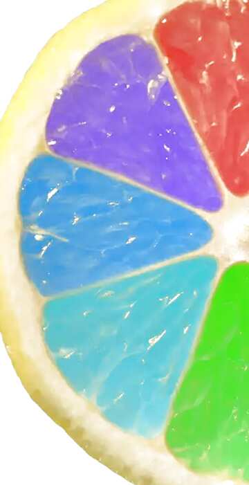 FX №62594  Colorful Rainbow lemon fragment