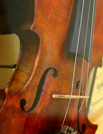 FX №62825 Abdeckung. Violine.