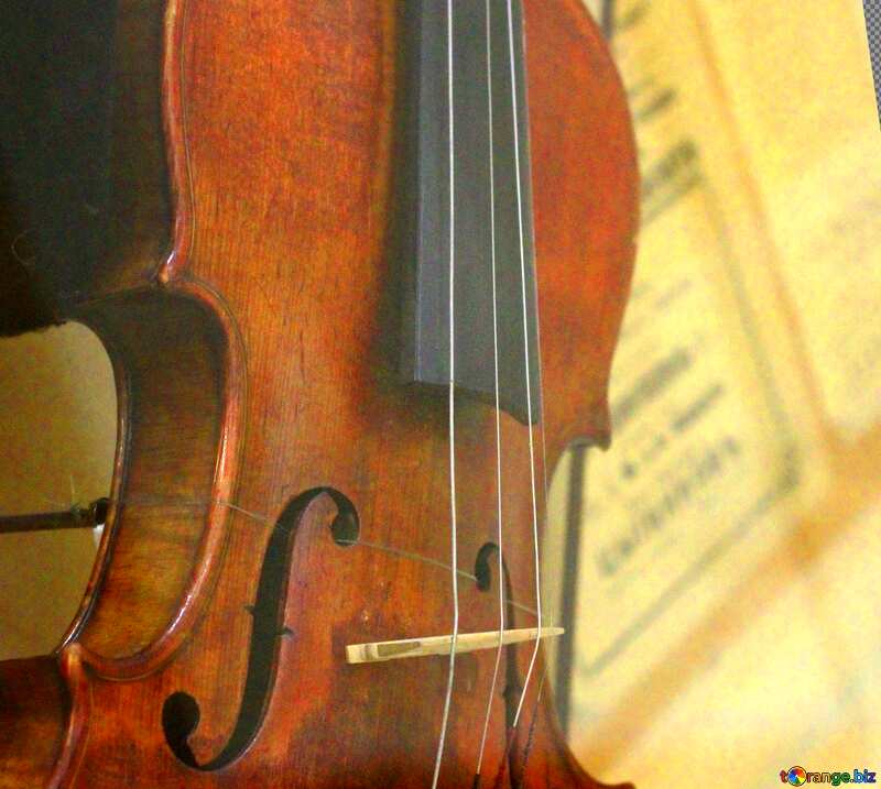 Abdeckung. Violine. №44204