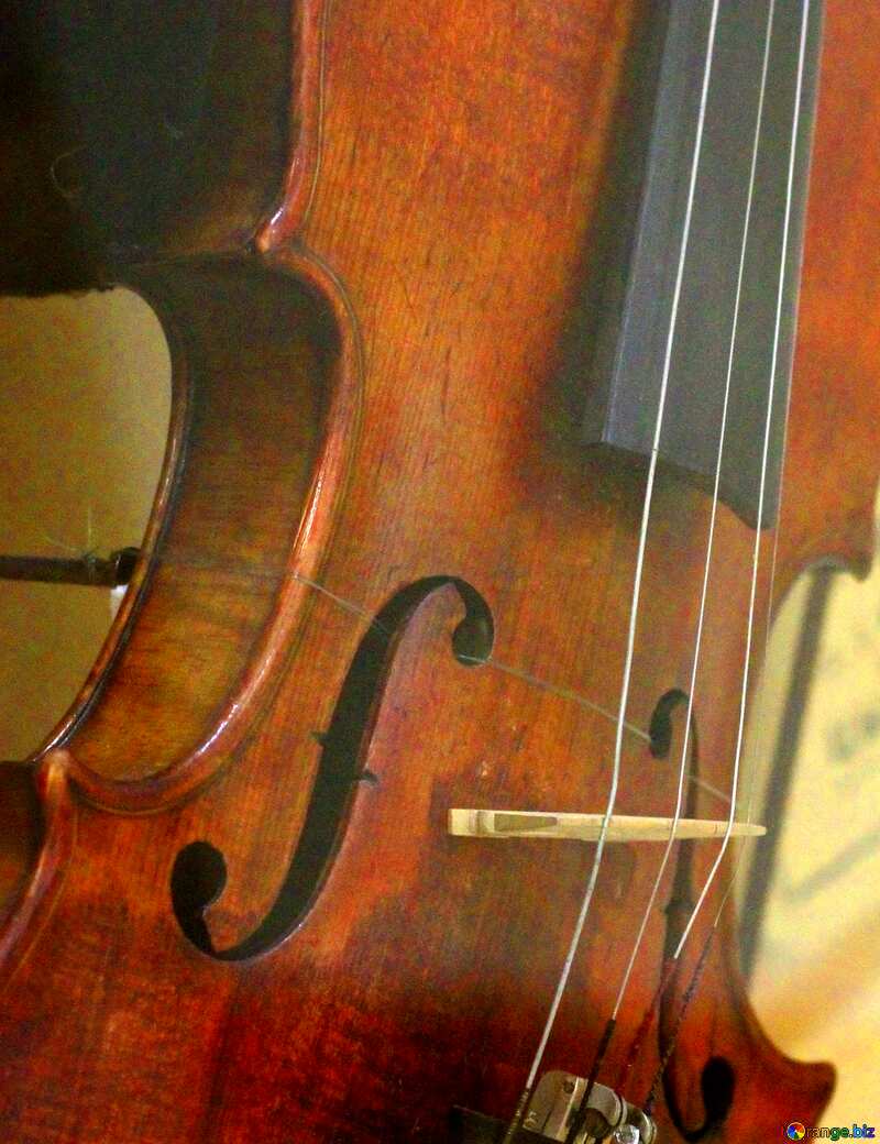Abdeckung. Violine. №44204