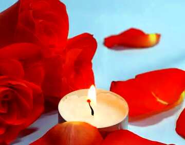 FX №63463 Bild für Profilbild. Romantisch Nacht . Bett , Rosen und , Blumenblätter Kerzen..