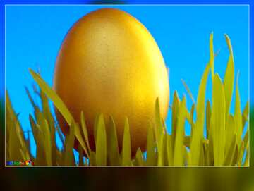 FX №63595 Easter egg motivations card