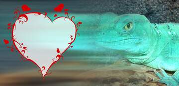 FX №63868 Lizard love card