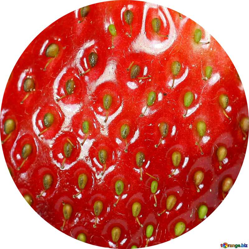 strawberry circle frame №9144