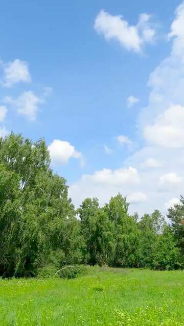 FX №66402 Sommerlandschaft