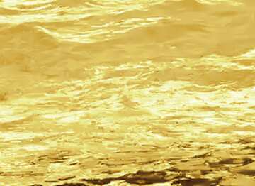 FX №66177 Gold  water