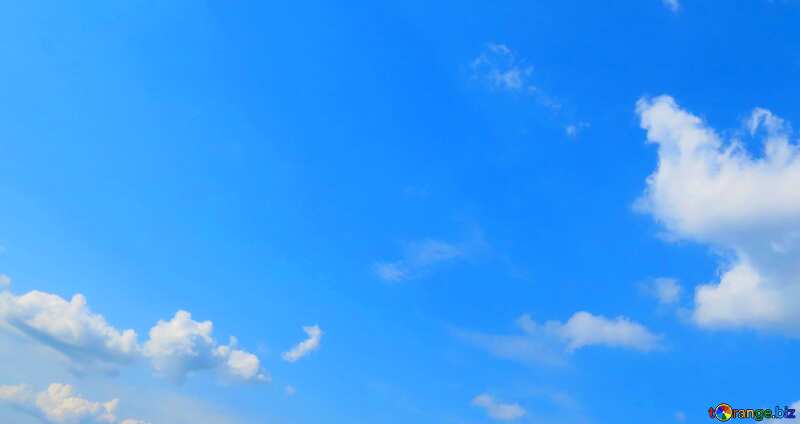 Couverture. Ciel bleu au-dessus de la forêt verte et le champ. №27372