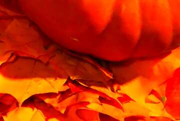 FX №67735 Pumpkin and autumn leaves
