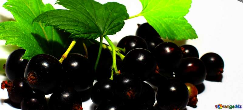 black grapes №33164