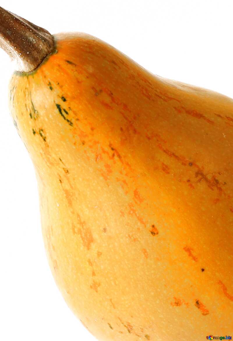 Pumpkin as pear №35002