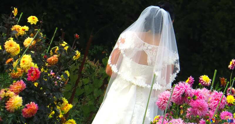 Couverture. La mariée dans le jardin fleuri. №35807