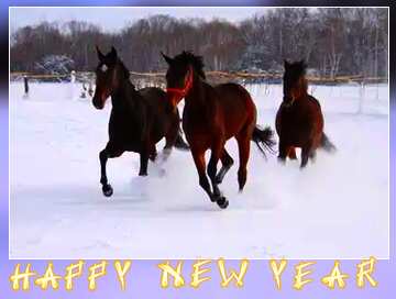 FX №68500 Three horses in the snow happy new year  card frame