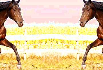 FX №68012 Horse template
