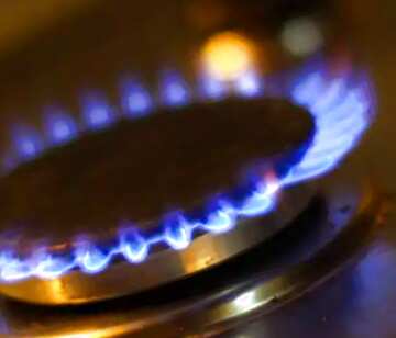 FX №68351 Natural gas burner