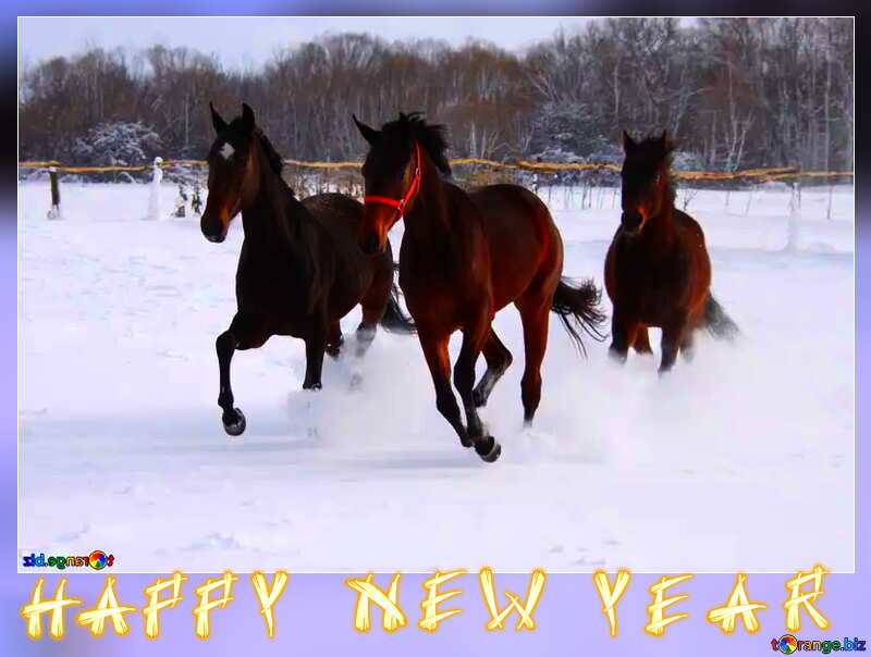 Three horses in the snow happy new year  card frame №3981