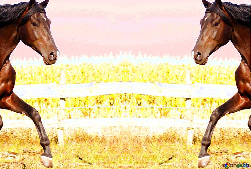 Horse template №36664
